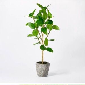 Banyan Tree Potted - Threshold designed with Studio McGee NWT